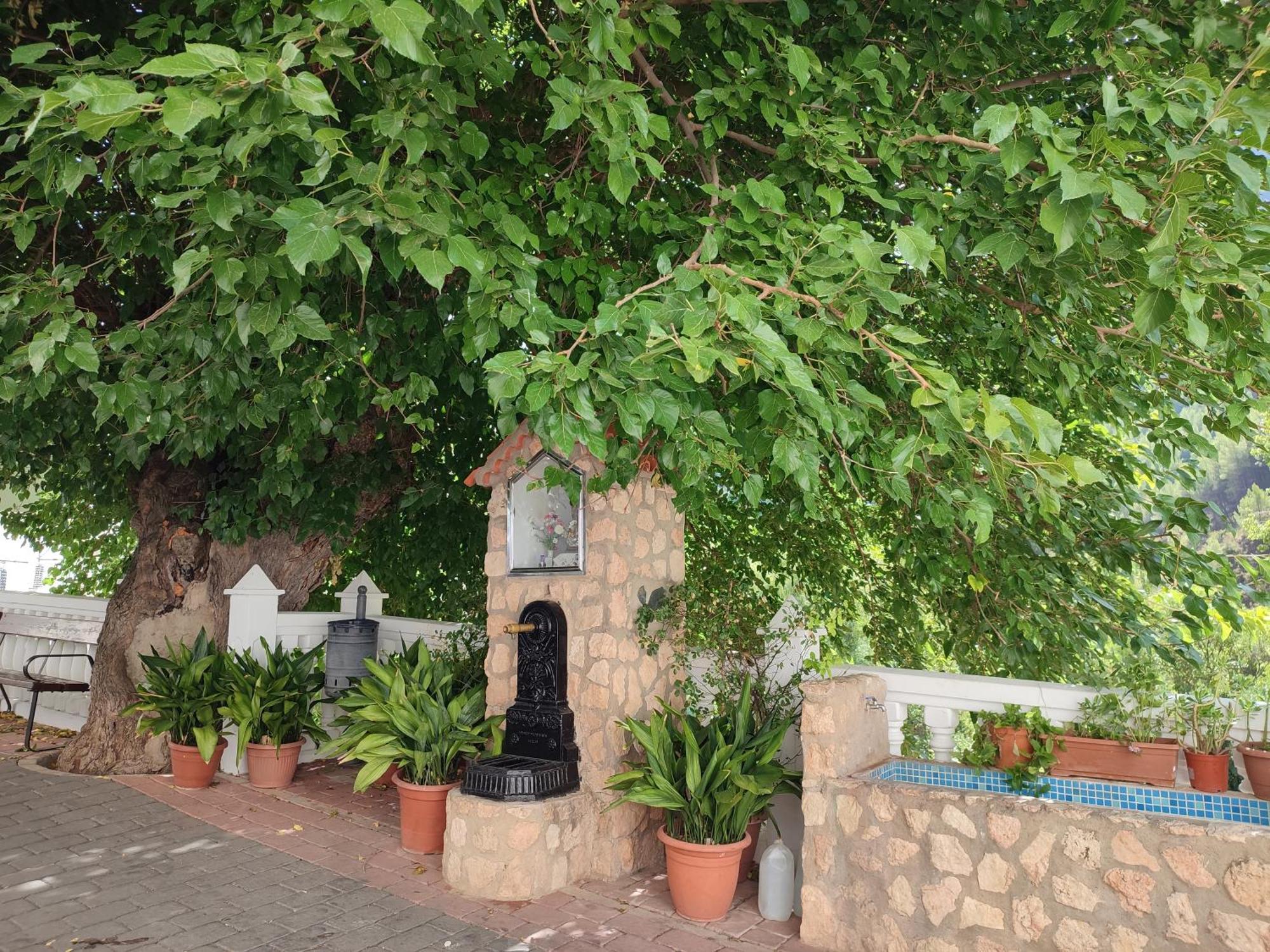 El Canton Bogarra Dış mekan fotoğraf